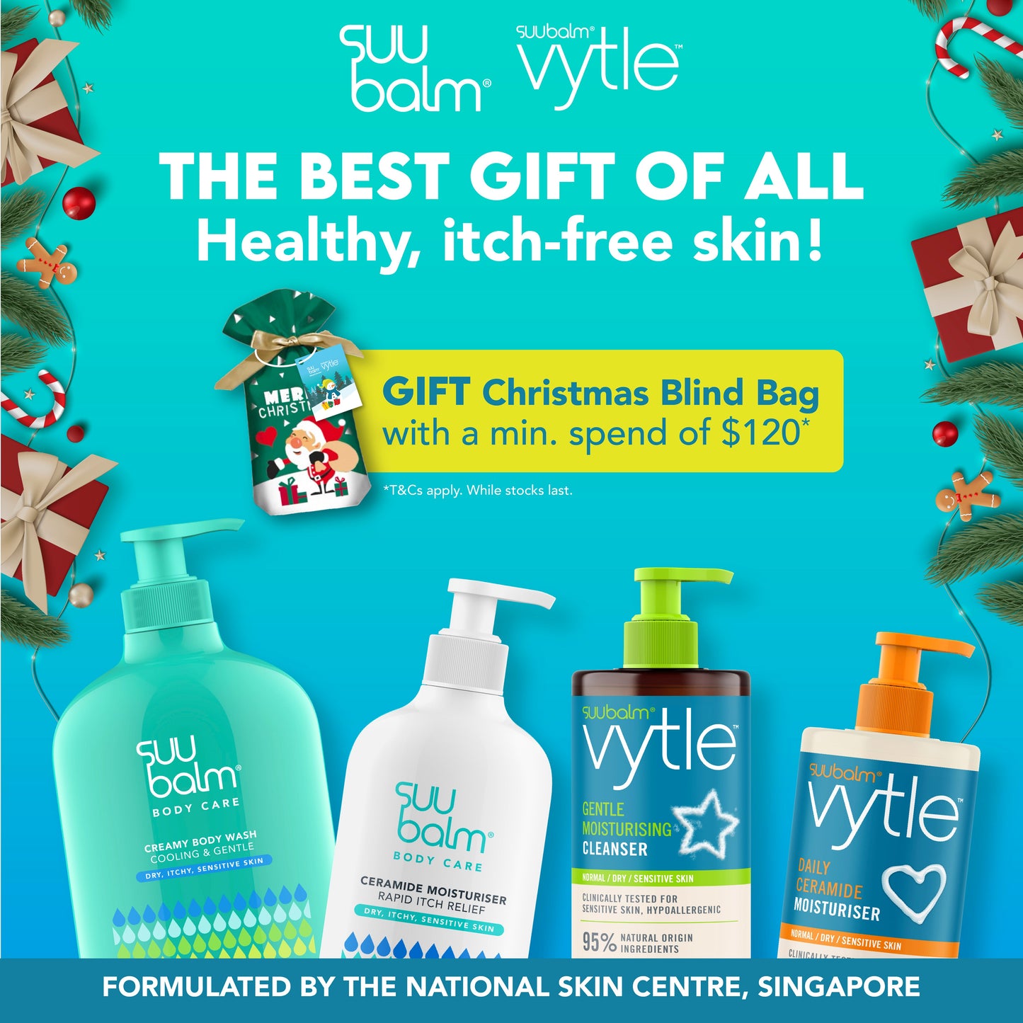 🎁 （礼品/非卖品）圣诞盲袋-仅限新加坡订单（100% 折扣）